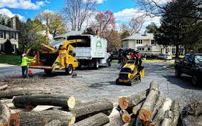 Best Fruit Tree Pruning  in Enochville, NC