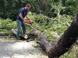 Mulching Services in Enochville, NC